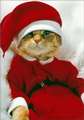 chatchat-noel